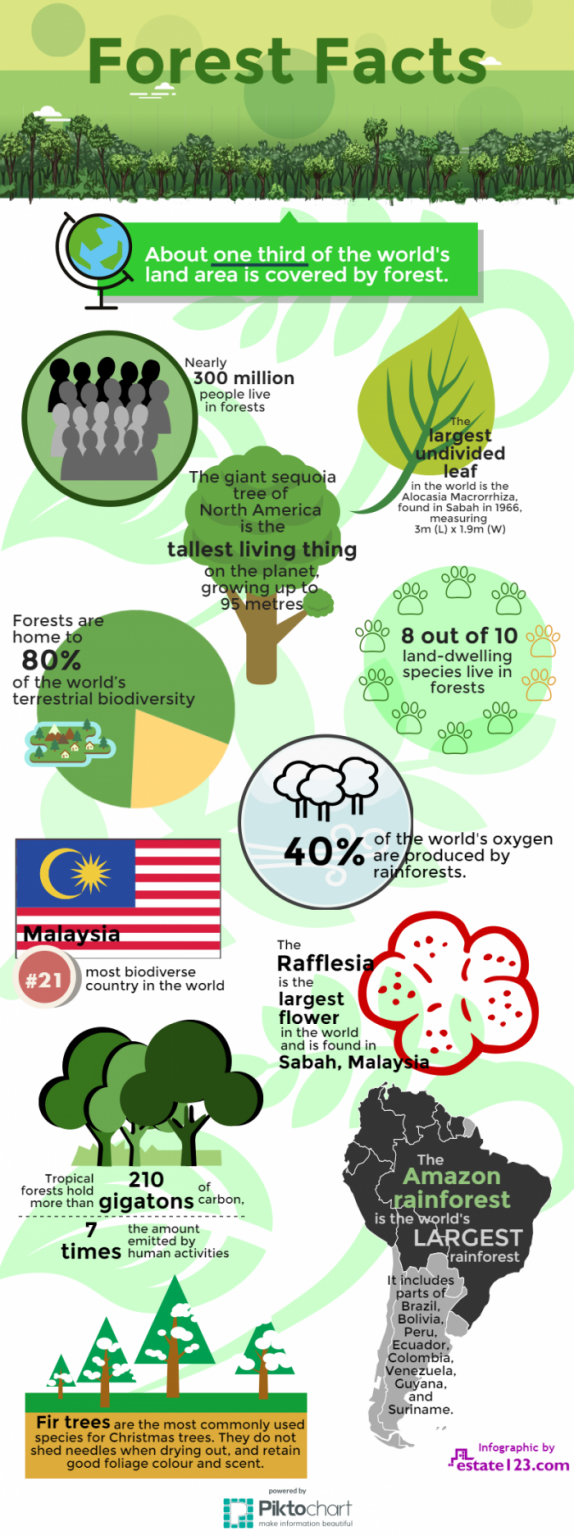 fun facts about malaysia