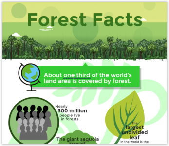 [Infographic] Malaysian Forest Facts