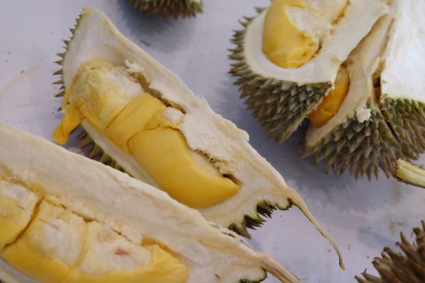 13 September 2019: Durian craze threatening Malaysian rainforest; Smart cities in 5 years