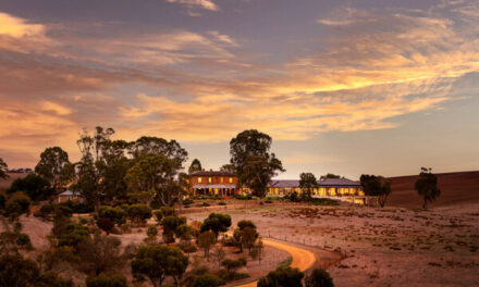 Salter Brothers set to unveil its new global brand, Ardour Hotels & Estates at newly acquired Kingsford Barossa