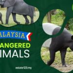 7 Endangered Wildlife at Risk on Malaysian Roads
