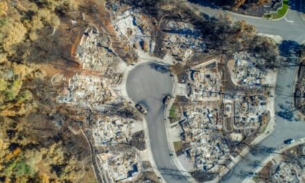 Australian Business Archistar Powers LA Wildfire Rebuild with Groundbreaking AI Technology