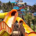 WhiteWater Unveils Signature Attractions at Sun World Vũng Tàu, Setting a New Benchmark for Vietnam’s Aquatic Entertainment